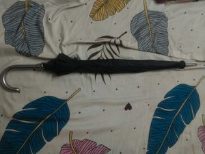 Foldable Umbrella with Pattern pack of 3