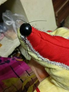 beautiful Cape