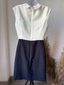 Classic Contrast Collar Dress