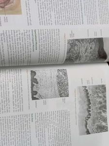 Orban's Oral Histology 16th Edition