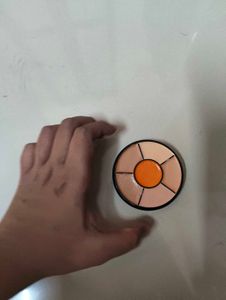 Insight Pro Concealer Palette