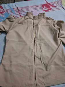 Elegant Beige Top