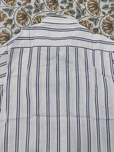 Netplay Striped Casual Shirt
