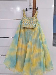 Designer Lehenga Choli Set