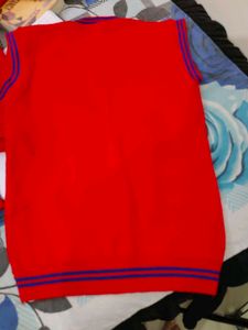 School Uniform Sweater  st. Xavier's schoo