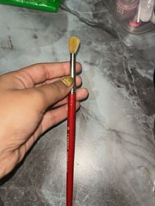 Makeup Brush