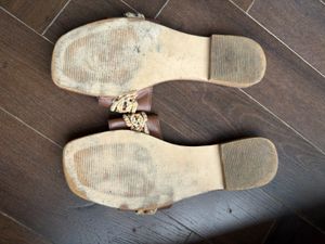 slides from fizzy goblet