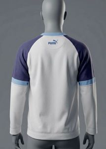 Puma Raglan Sweatshirt