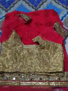 Beautiful Embroidered Net Saree
