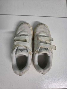 Adidas Velcro white Shoes