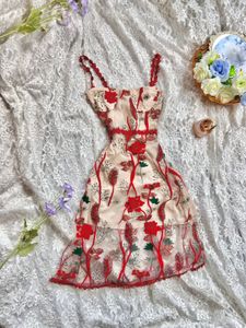 Floral Embroidered Mini Dress