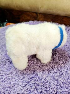 Adorable Zoo Hannover Polar Bear Plush