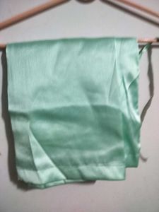Stunning Pastel Green Embellished Saree
