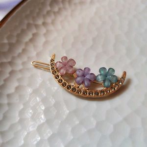 Assorted Hairclips