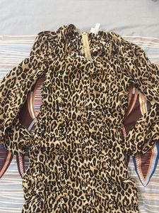 Leopard Print Ruched Mini Dress
