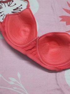 Lightly Padded Bra
