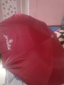 New Branded  Umbrellas In Combo