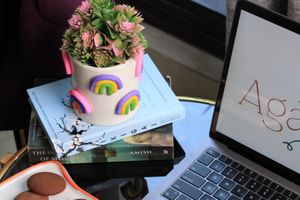 Ceramic Rainbow Planter