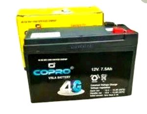 New Big Carpo Battery🔋