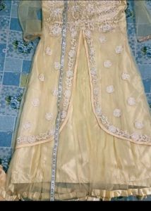 Stunning Anarkali gown + freebie