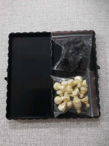 Traveller's Magnetic Chess