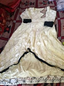 Elegant Lace Ethnic Gown