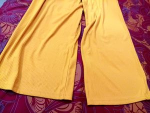 Go Colors RIB Plazzo