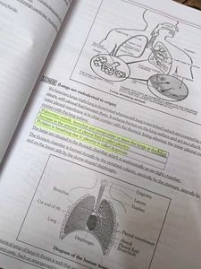 ALLEN Pre-Medical Biology Module - 04