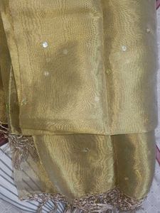Elegant Gold Embellished , mirror work dupatta