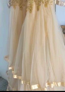 STUNNING HEAVY CANCan GOWN