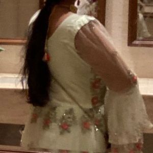 Elegant Embroidered party gown