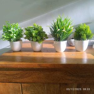 Artificial Plants (Set of 5)
