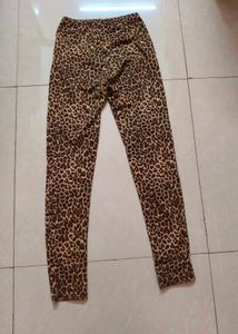 Leopard Print Leggings