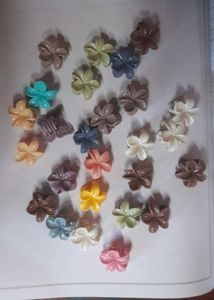 Set of 10  Flower Hair Claw Clips