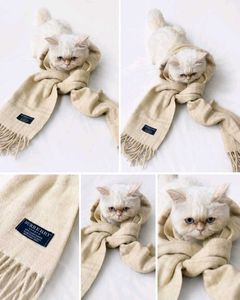 Luxury Cashmere Scarf