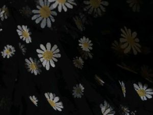 Black Daisy Mesh Top