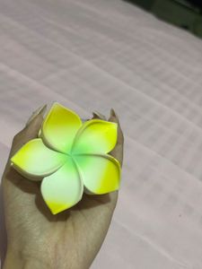 Floral Hair Clip