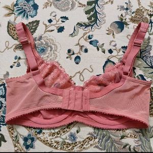 Enamored Wired Bra