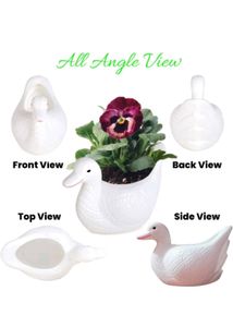 Adorable Duck Planters Set of 2