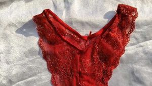 Sheer Lace Red Briefs