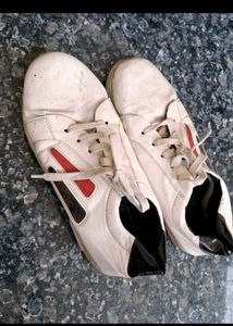 Sport Shoes