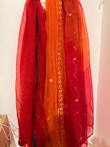 Pack of three Vibrant Ombre organza Dupatta