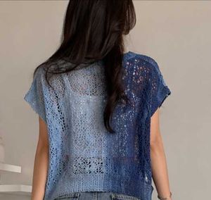 Chic Blue Crochet Knit Top