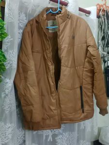 Winter Jacket