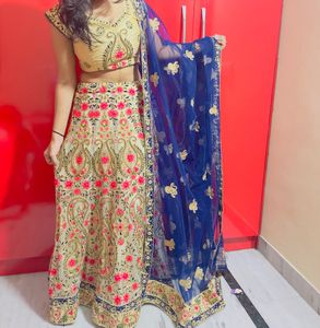 Elegant Embroidered Lehenga Choli