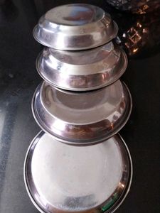 Stainless Steel Serving Bowl and Plates Set