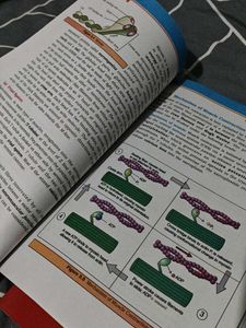 Biology Textbook for NEET/JEE Prep