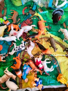 Kids Animal Play Set
