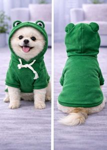 Green Frog Hoodie for Small Dog