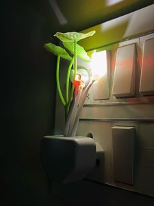 Novelty Plug-in Night Light
